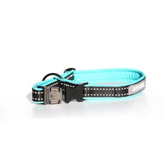 Aminela obojek se sponou Sport & City 25mm/25-45cm tyrkysová