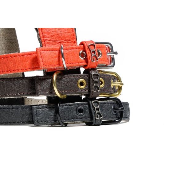 FUNKY DOG Černý Piñatex postroj