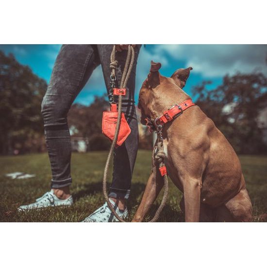 FUNKY DOG korálově Červený Piñatex obojek