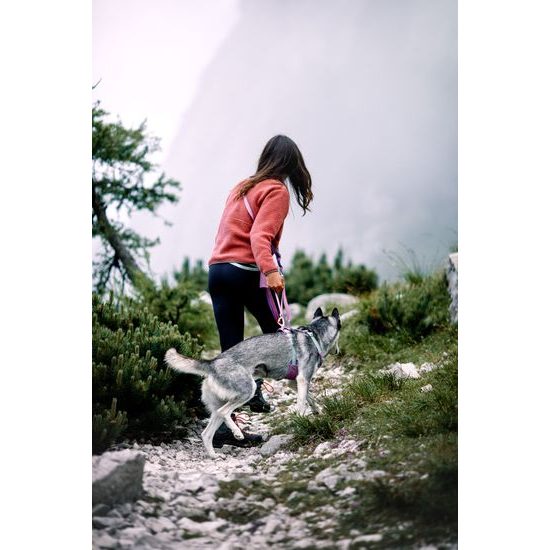 Woolly Wolf Color Block Multi-Use Leash