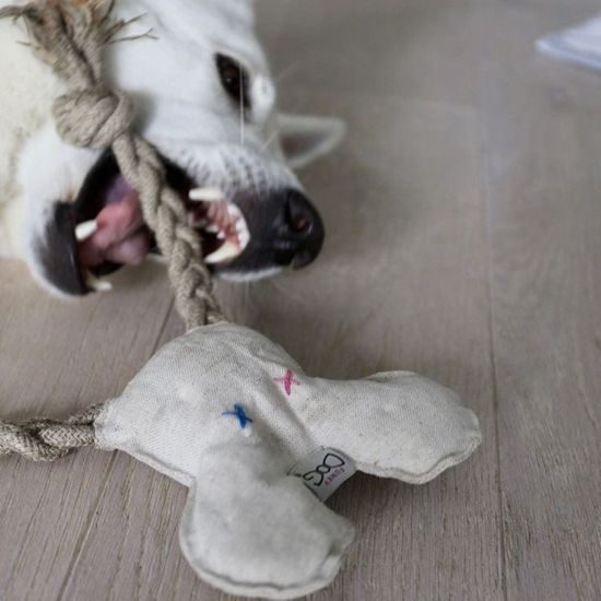 FUNKY DOG Slintoš ušatý přírodní hračka pro psa