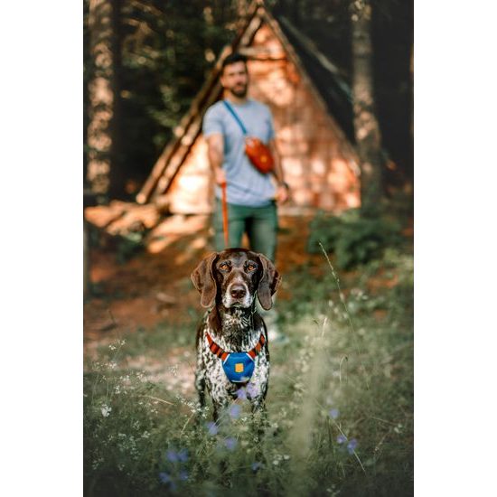 Woolly Wolf Color Block Harness