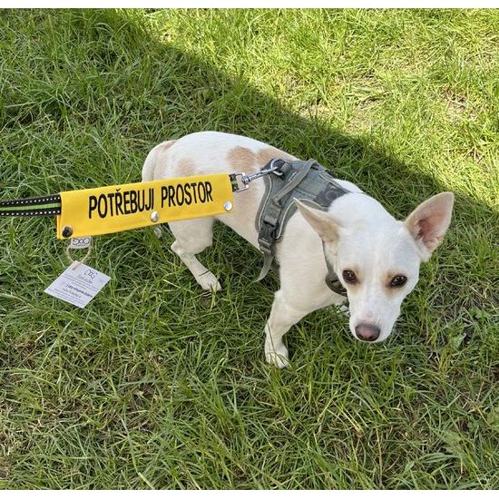 FUNKY DOG Žlutý návlek na vodítko