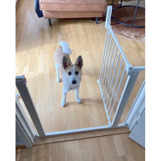 DogSpace Lassie tlaková branka pro pejsky 73-80 cm bílá