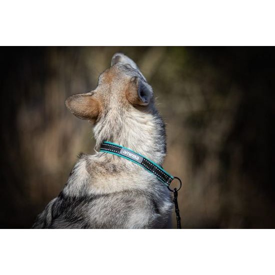 Aminela obojek polostahovací Sport & City 25mm/54cm + 5cm tyrkysová