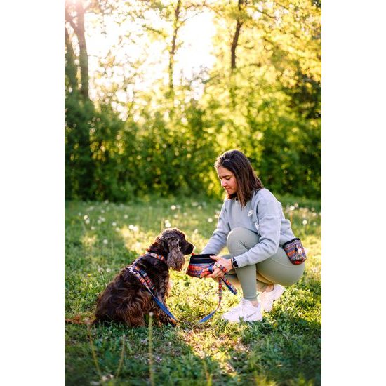 Woolly Wolf Nightless Night Harness