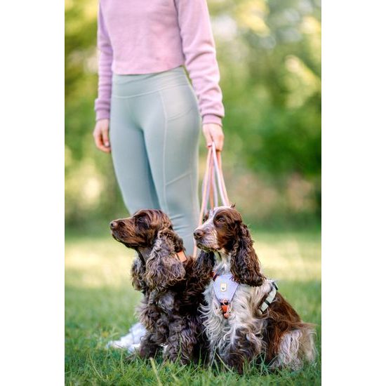 Woolly Wolf Color Block Harness