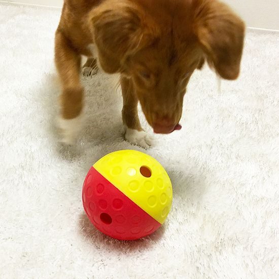 Nina Ottosson Pamlskový hlavolam