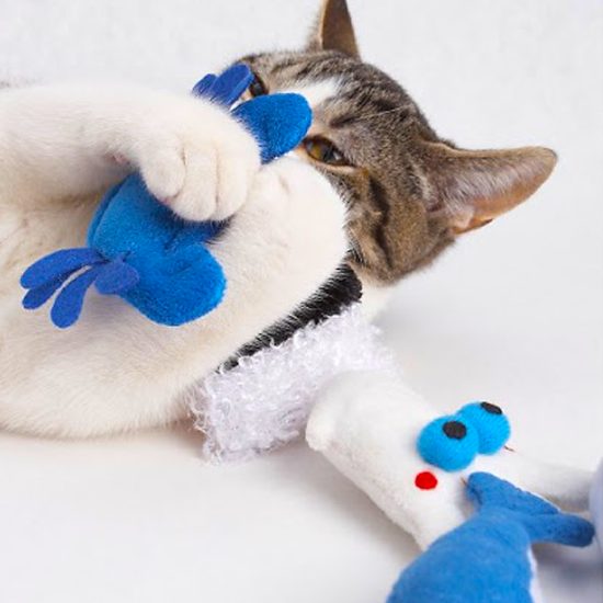 Doggles Funky Feline Sushi