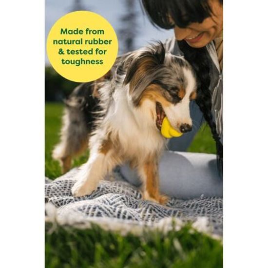 Earth Rated Fetch Toy Aportovací míček – S