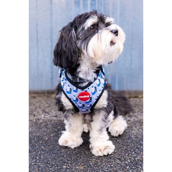 Reedog Kšíry pro psa HORSE