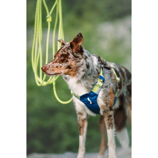 Woolly Wolf Alpha 360 Harness