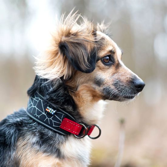 Rukka Cube Soft obojek extra měkký