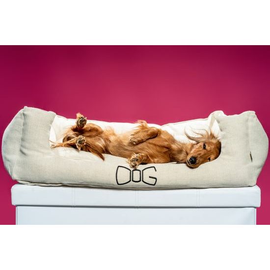 FUNKY DOG Ekologický lněný pelech pro psy