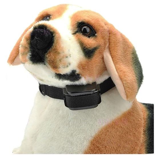 Petrainer PET998DR Výcvikový obojek