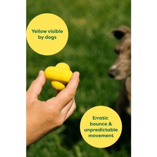 Earth Rated Fetch Toy Aportovací míček – S