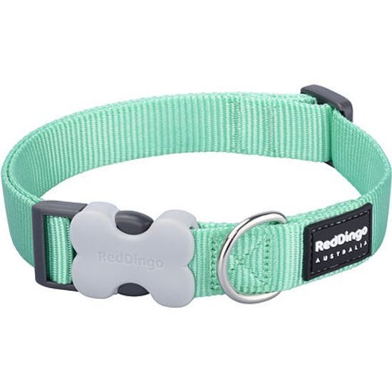 Red Dingo Obojek 12 mm x 20-32 cm Zelená Pastelová