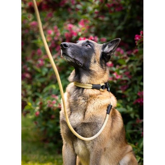 Aminela Obojek lano s kůží černé kování béžová