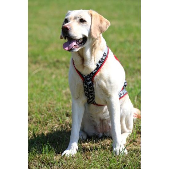 ManMat postroj RUN LONG