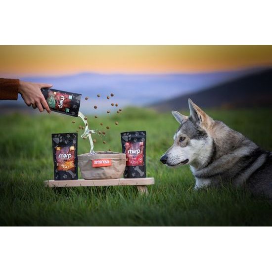 Aminela Cestovní miska šedá 3l