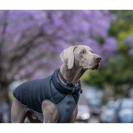 Red Dingo Puffer Jacket Černá / Šedá velikost bundy 40 cm