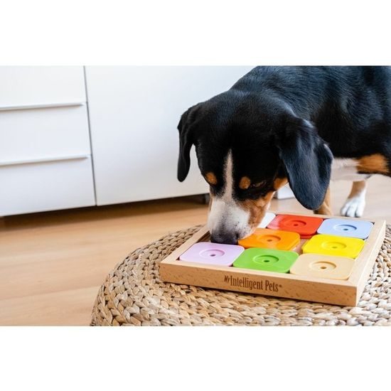 My Intelligent Pets Dřevěný hlavolam Sudoku Expert Rainbow/obtížnost 3