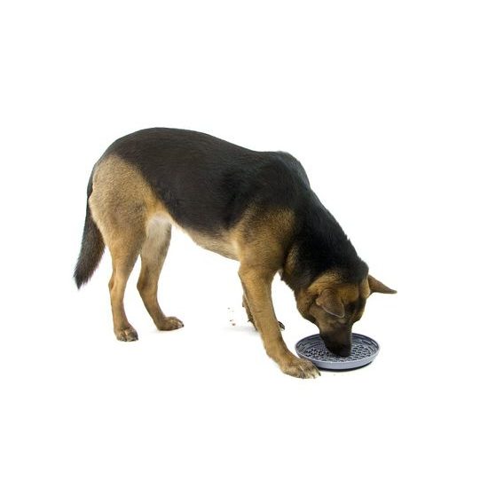 Amarago lízací podložka kulatá miska tmavě šedá