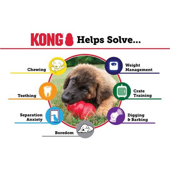 KONG Hračka guma Puppy Ball w/Hole M/L