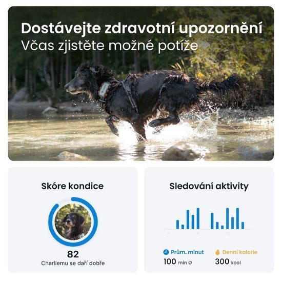 Tractive GPS DOG XL sledování polohy a aktivity pro psy
