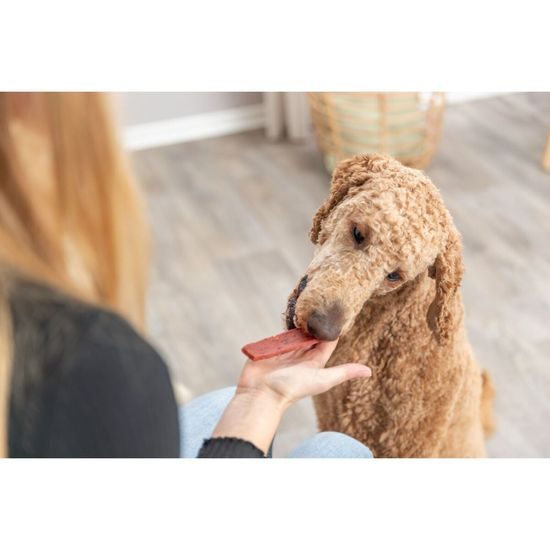 Trixie PREMIO Filets hovězí filety 93% masa 80 g