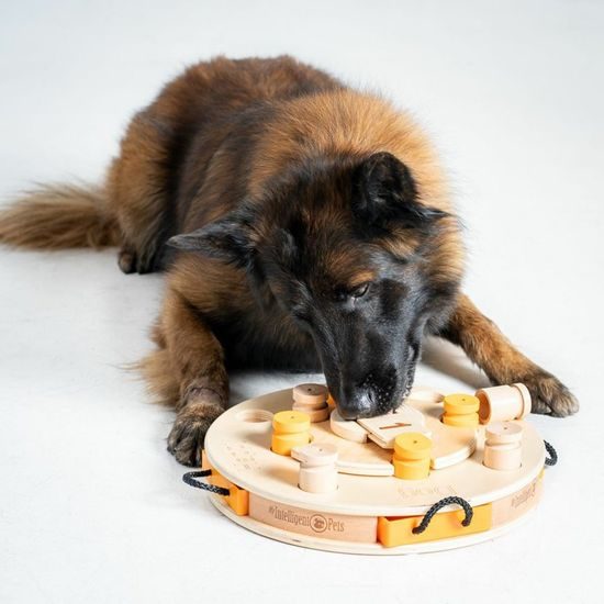 My Intelligent Pets Dřevěný hlavolam Birthday cake/obtížnost 1-4