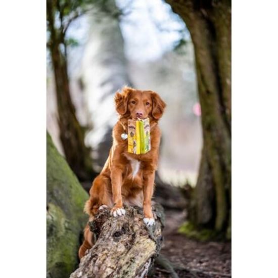 Soopa Pets Dentální tyčinky Soopa s kapustou a jablkem 100 g