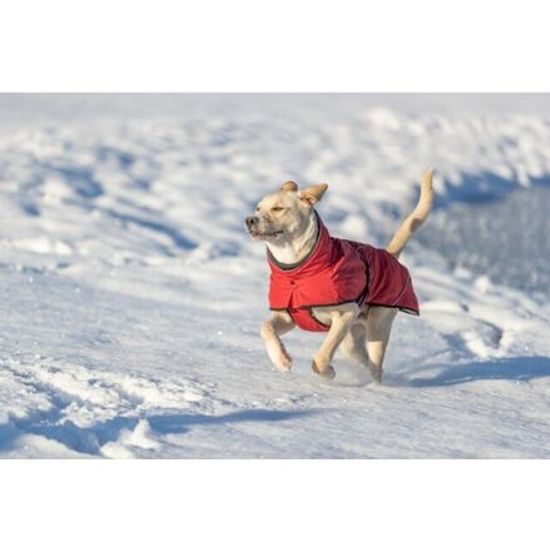 Trixie EXPLORE zimní termo-bunda pro psy