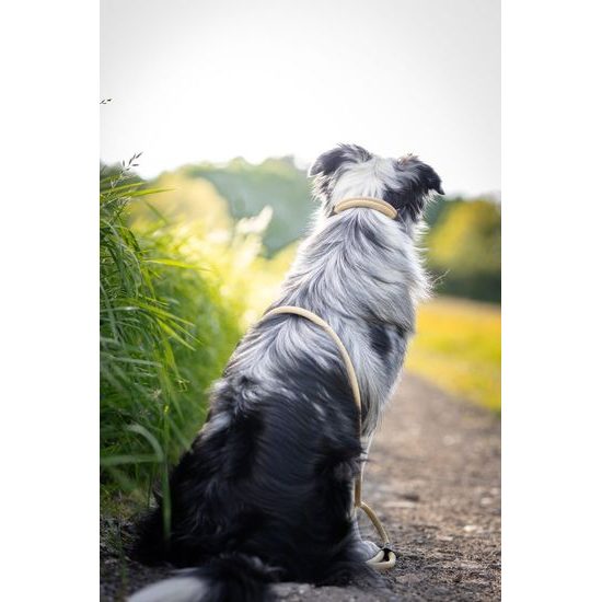 Aminela Vodítko lano s kůží černé kování béžová