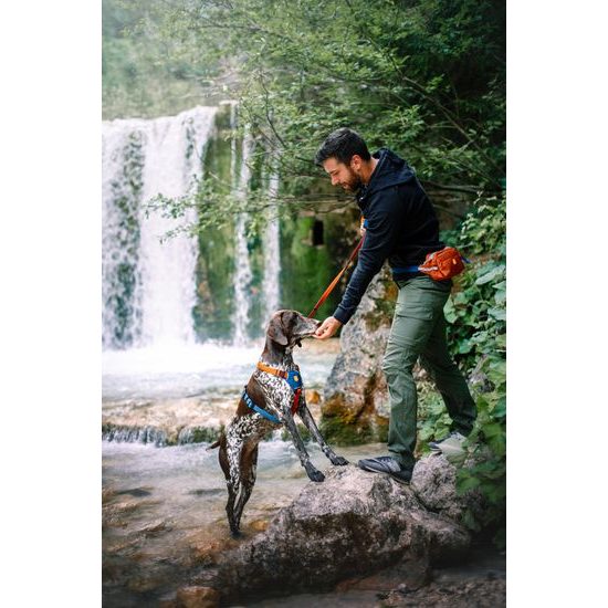 Woolly Wolf Color Block Harness