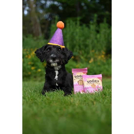 Soopa Pets Soopa Healthy Bites Cupcake s jahodami a kokosem 50 g