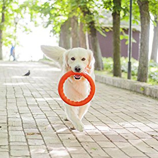 PitchDog Tréninkový Kruh pro psy