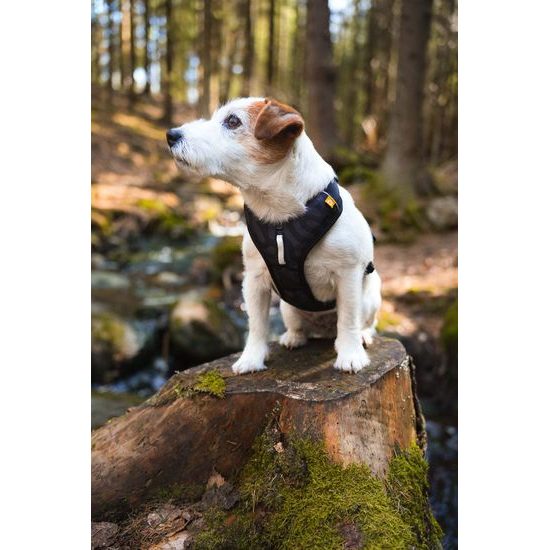 Woolly Wolf Roam Harness
