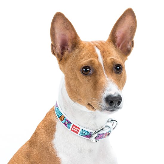 WAUDOG Obojek kožený Summer