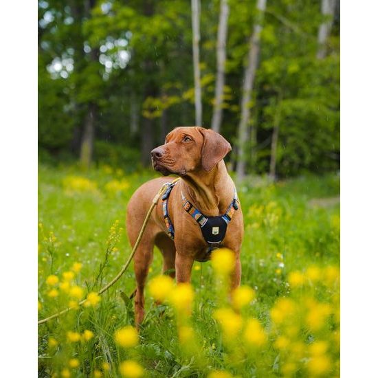 Woolly Wolf Rope Leash