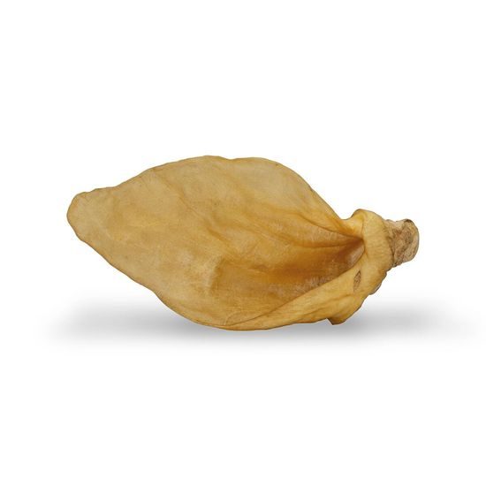 KidDog 100% Natural Snack hovězí ucho přírodní 20 cm / 55 - 60 g