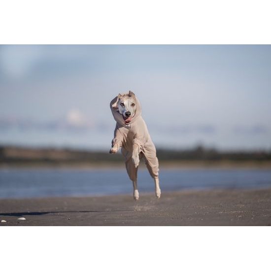 Non-stop dogwear Celotělová mikina Trail quest fleece overall dog jacket béžová