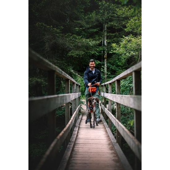 Woolly Wolf Color Block Harness