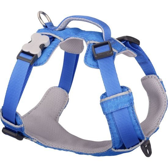 Red Dingo postroj Sport Electric Blue 20 mm x 47-64 cm
