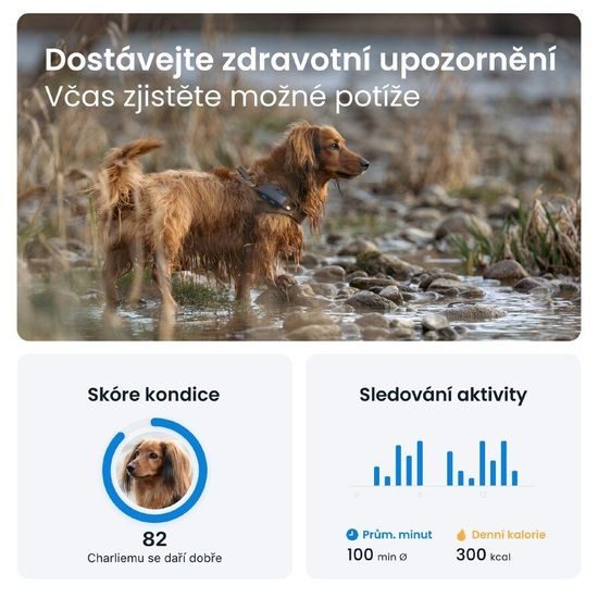 Tractive GPS DOG 4 sledování polohy a aktivity pro psy