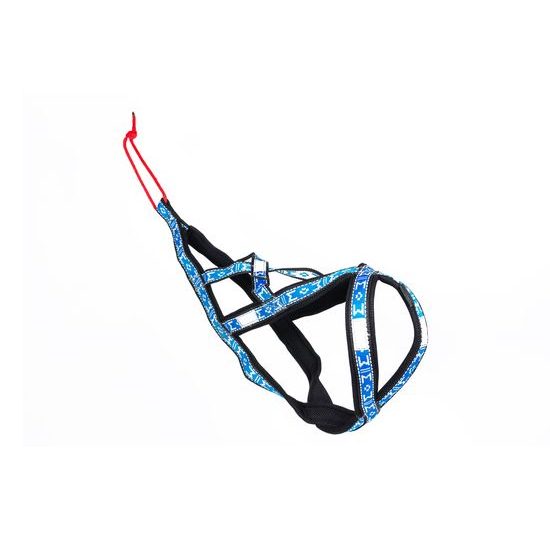ManMat postroj SLED