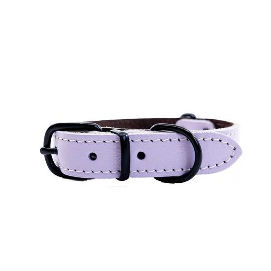 BafPet Kožený obojek ARGUS černé kování fialová