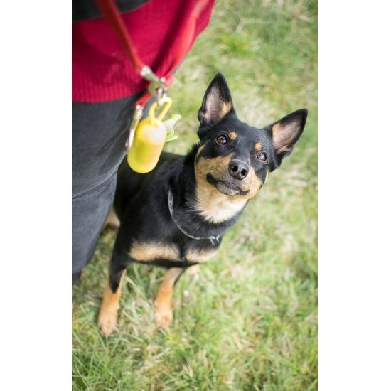 Aminela Ekologické pytlíky na psí exkrementy 10ks + zásobník