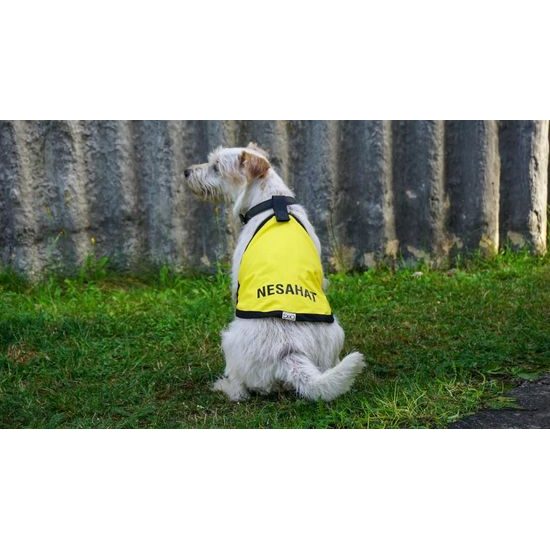 FUNKY DOG Žlutá signalizační vesta pro psy