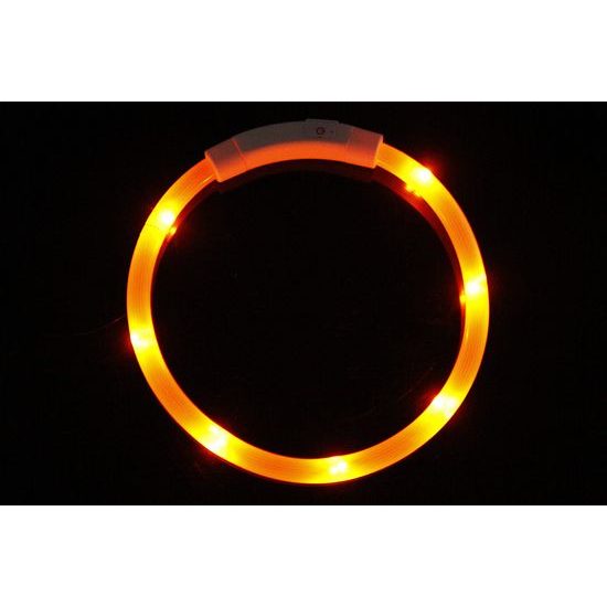Reedog Easy Light USB dobíjecí svítící obojek pro psy a kočky